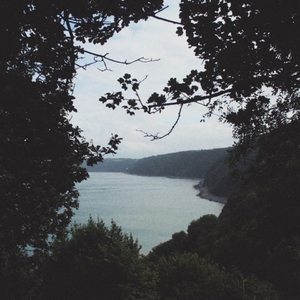 朵利亚张开双腿被强❌
