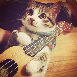 朵利亚张开双腿被强❌
